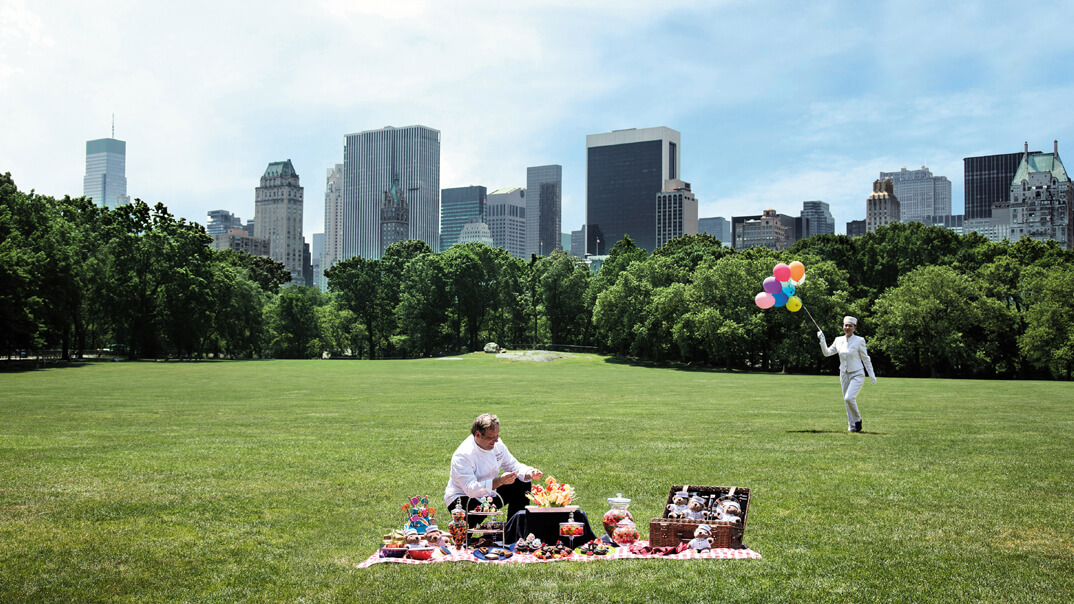 My new park. Пенинсула Нью Йорк. Центральный парк Нью-Йорк пикник. Центральный парк Нью-Йорка овечий луг. Пикник в Нью Йорке.
